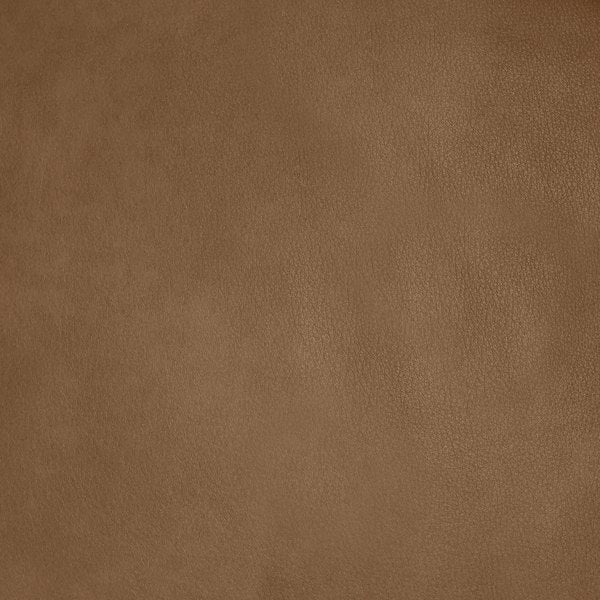 Brown Leather swatch
